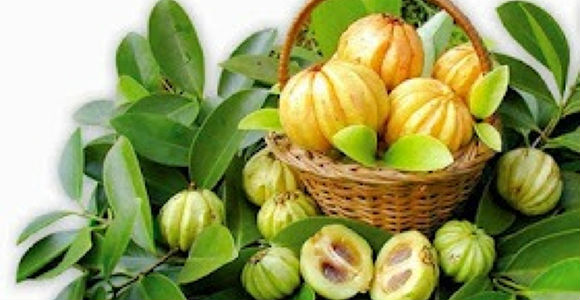 Purchase Garcinia Cambogia 