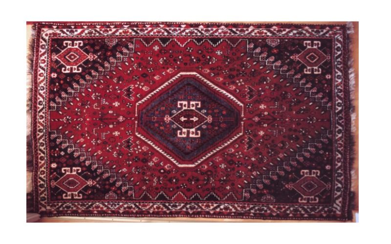 persia rugs