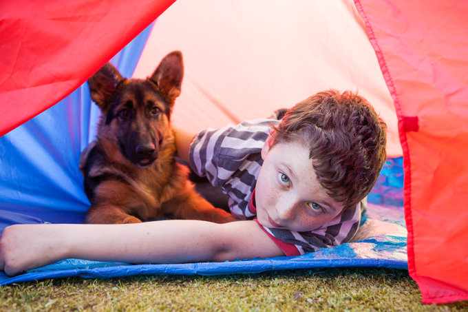 dog tents for camping