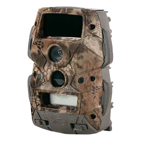 Best Trail Cameras For Detection Range