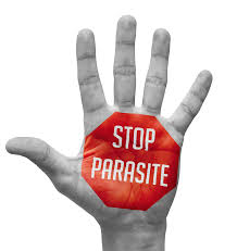 12 parasites of christmas