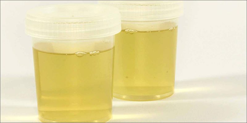 synthetic urine